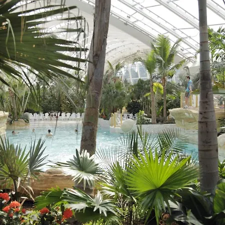 Tf956 Premium 8p Resort